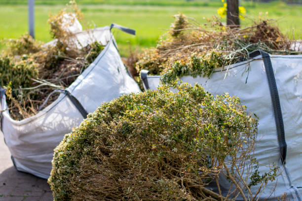 Best Furniture Removal Near Me  in Fayette, AL
